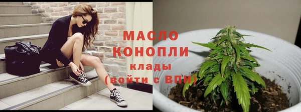 стафф Каменка