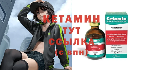 сатива Каменногорск
