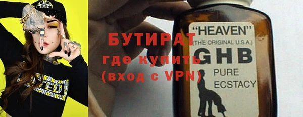 сатива Каменногорск