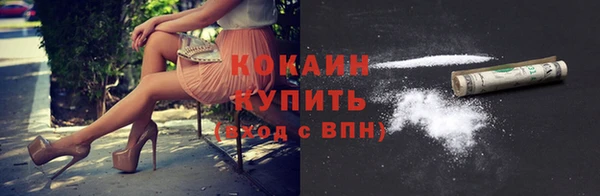 стафф Каменка