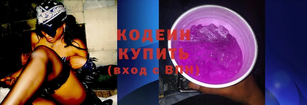 стафф Каменка