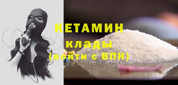сатива Каменногорск