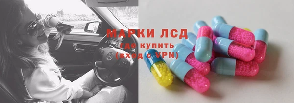 сатива Каменногорск