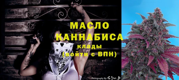 сатива Каменногорск