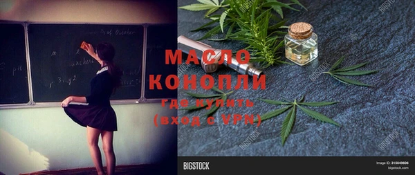 стафф Каменка