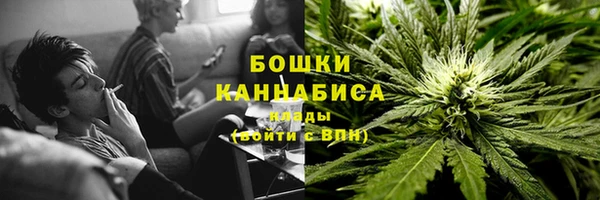 сатива Каменногорск