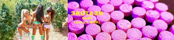 стафф Каменка