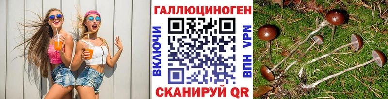 Псилоцибиновые грибы мицелий  Купить где  Краснознаменск 